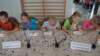 dsc01155_small.jpg