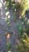 _070901_small.jpg