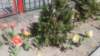 _125207_small.jpg