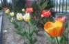 _125231_small.jpg