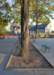 dsc_0008_small.jpg