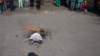 dsc02545_small.jpg