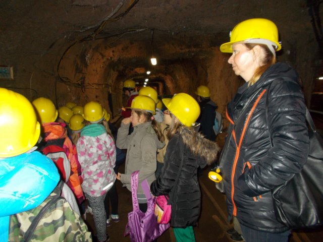 dscn1135.jpg