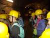 dscn1142_small.jpg