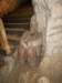 dscn1152_small.jpg