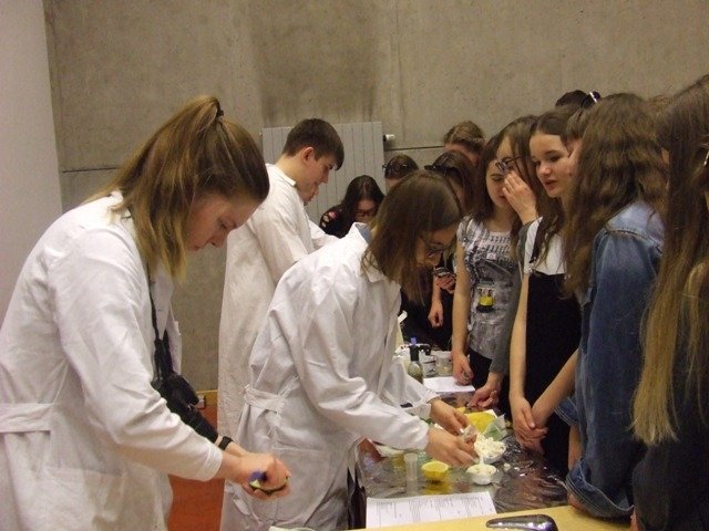 foto32.jpg