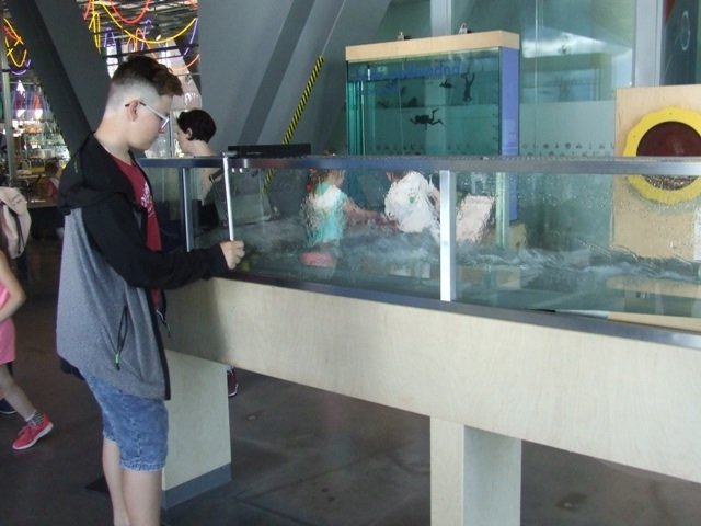 foto17.jpg