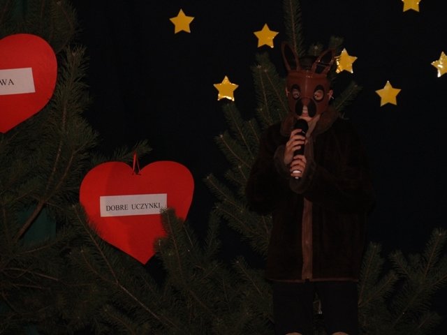 foto7.jpg