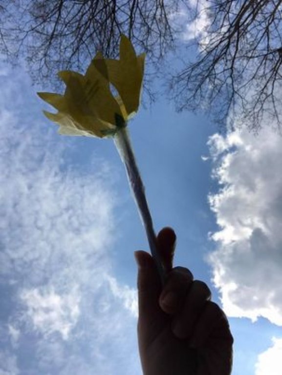 foto6.jpg
