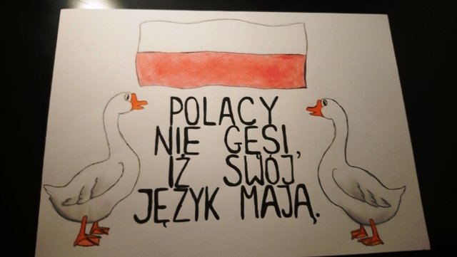 foto10.jpg