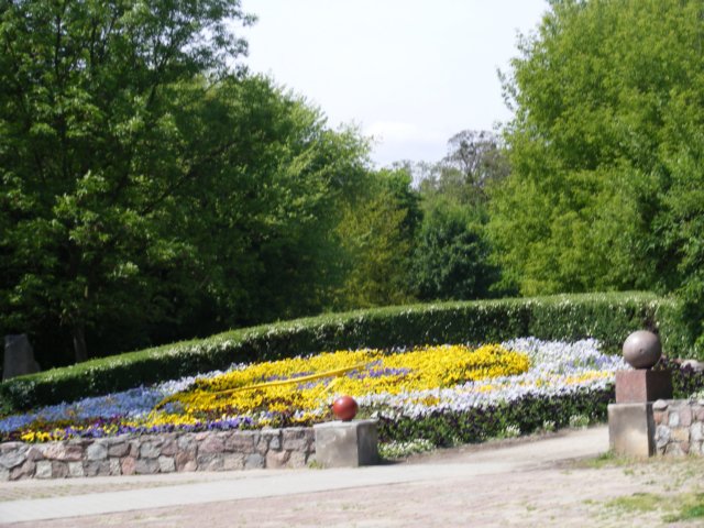 _05210041.jpg