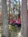 dscn1940_small.jpg