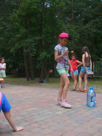 s5001288.jpg
