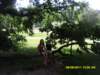 sam_0730_small.jpg