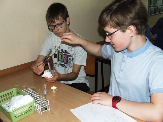 foto6.jpg