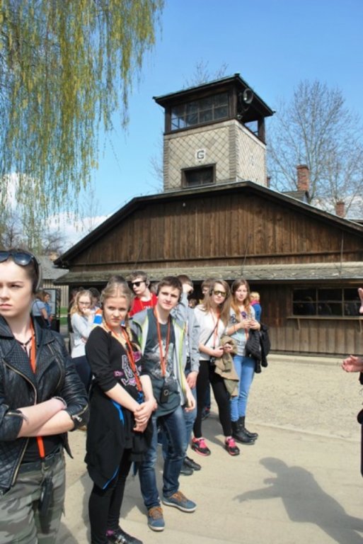 foto1.jpg